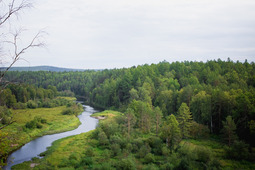 Природный парк "Оленьи ручьи" (Свердловская область)