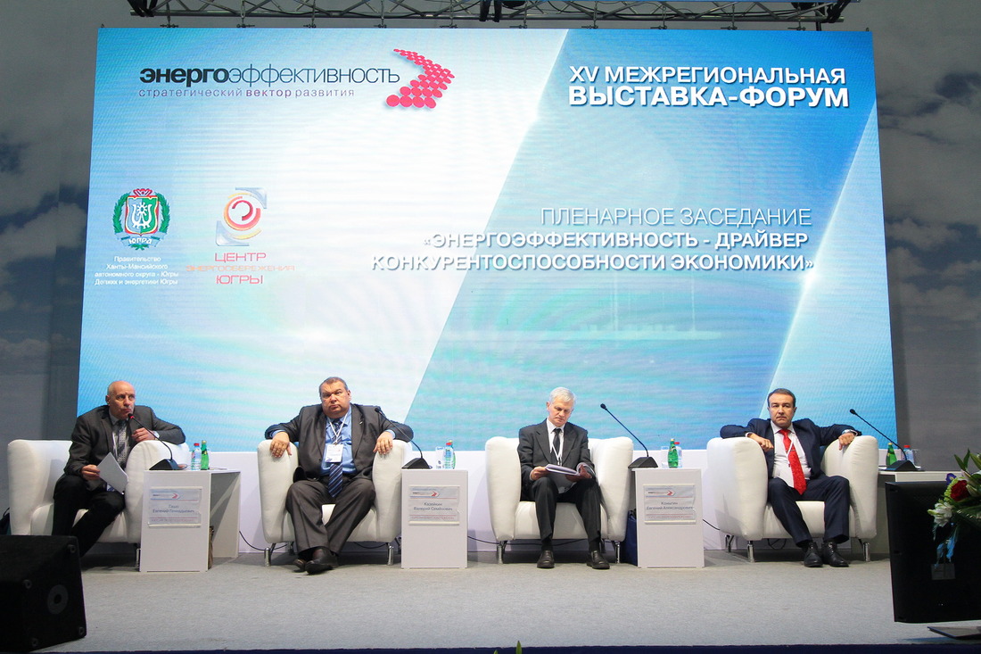 Участники пленарной сессии «Энергоэффективность — драйвер конкурентоспособности экономики»
