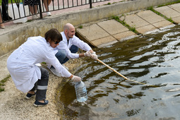 Вода отбирается для исследования в четырех точках водного объекта