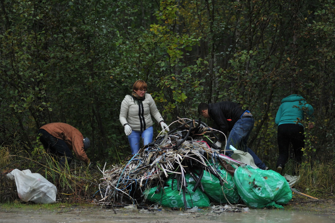 В ходе субботника от бытового мусора был очищен один из районов «зеленой зоны»