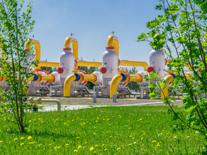 Система экологического менеджмента ООО «Газпром трансгаз Югорск» подтвердила свою эффективность по итогам 2024 года