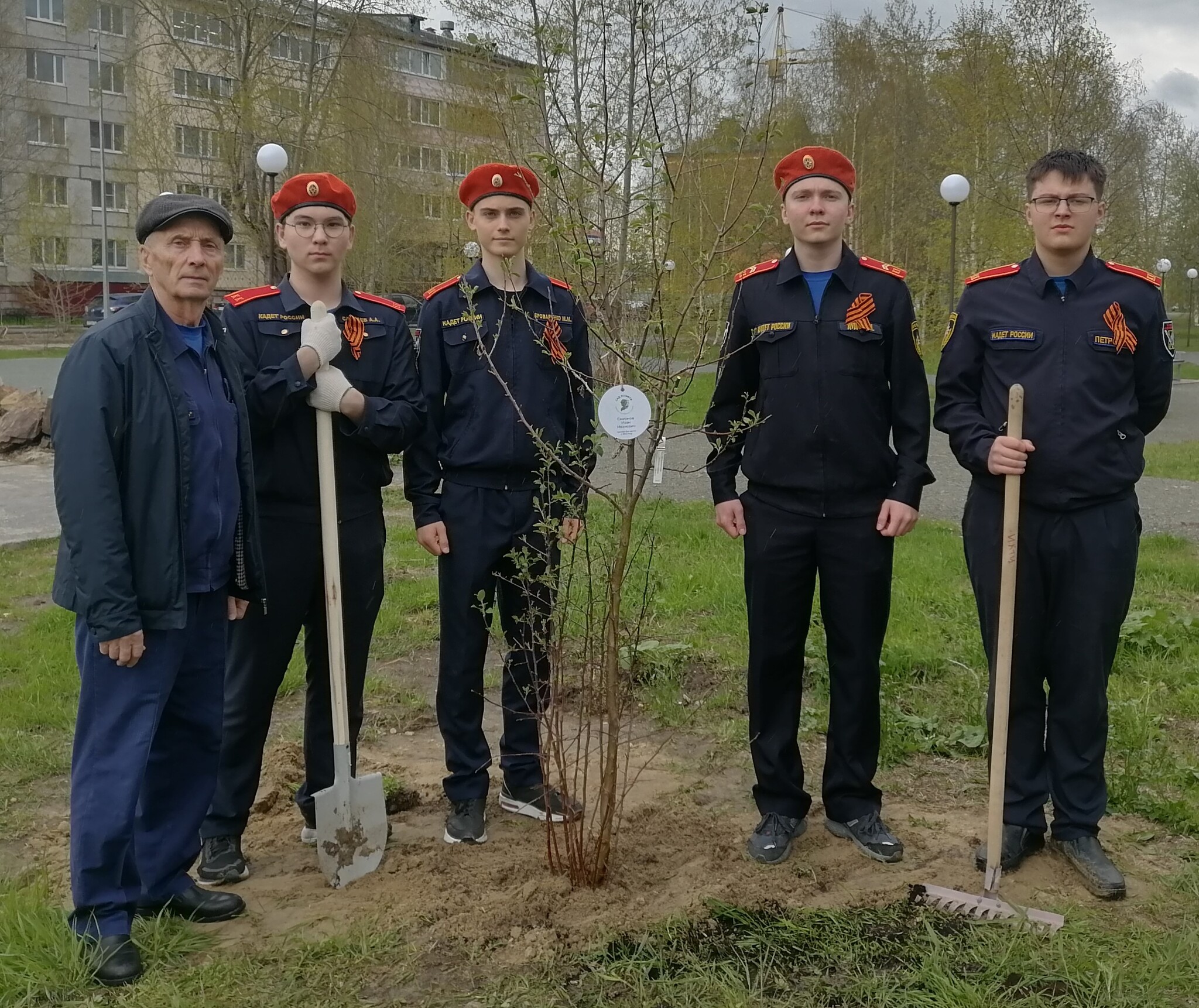 В высадке памятных деревьев приняли участие кадеты
