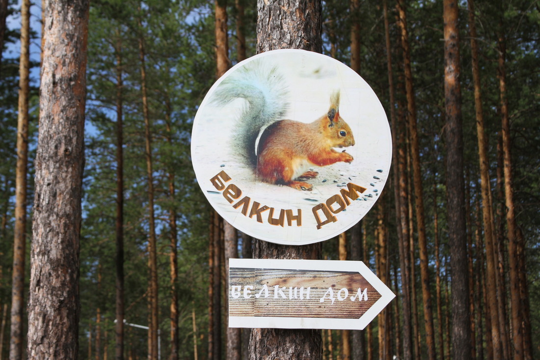 На территории лыжной базы появился экологический парк «Белкин дом»